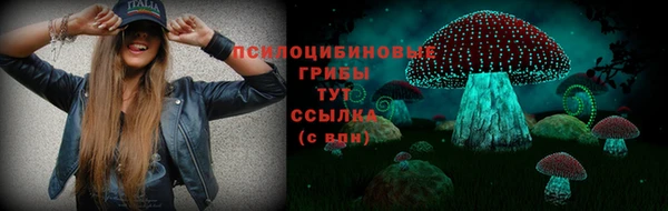 твердый Алзамай