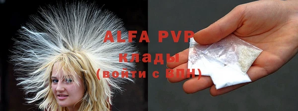 СК Алексин
