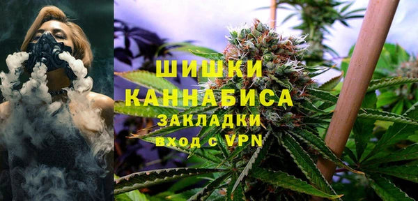 твердый Алзамай