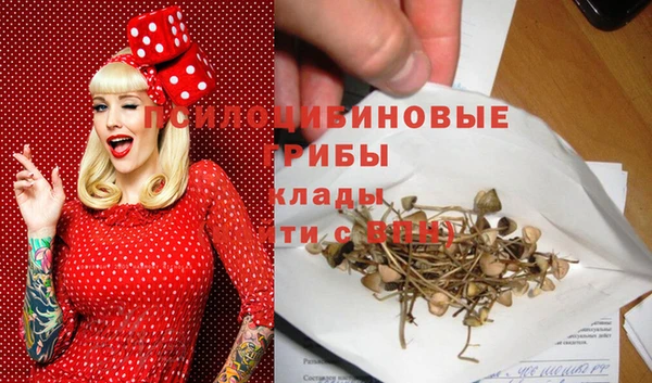 прущий лед Алексеевка