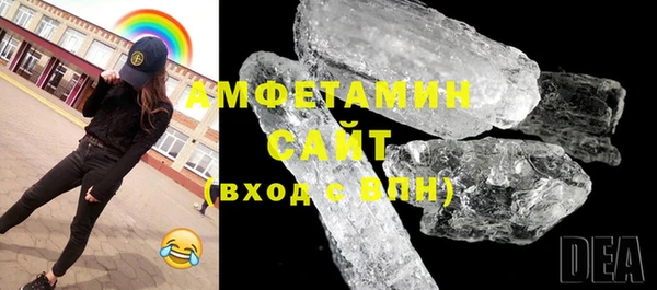 СК Алексин