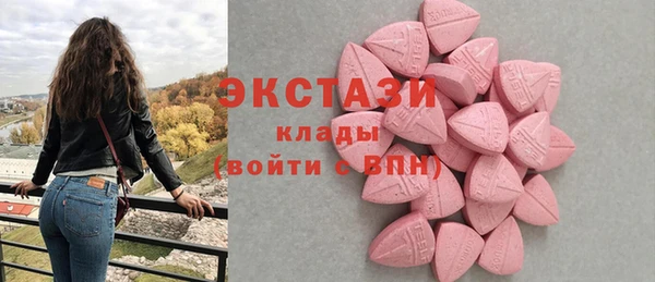 СК Алексин