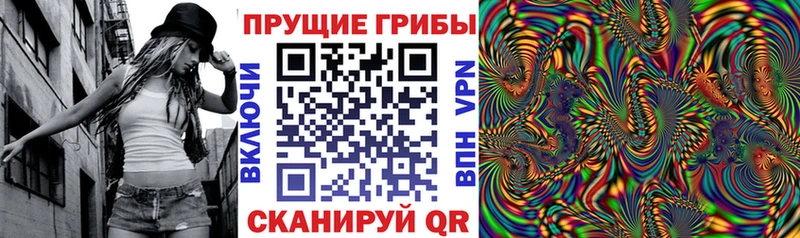 блэк спрут вход  Амурск  Псилоцибиновые грибы Cubensis 