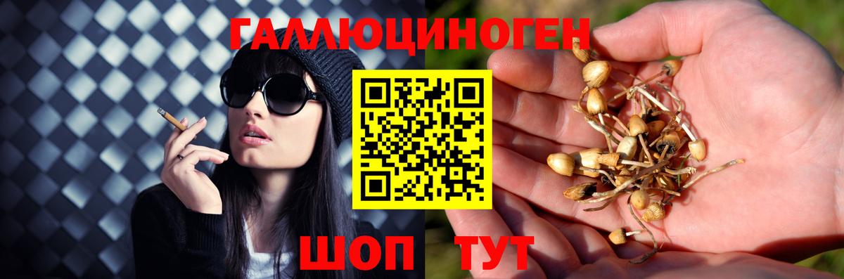 Галлюциногенные грибы Magic Shrooms Амурск